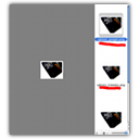 save results for multiple websites in the correct image size